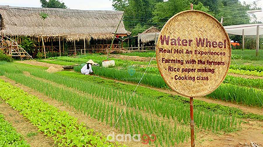 Tour Ninh Bình Đi Đà Nẵng Tour Ninh Bình Đi Đà Nẵng
