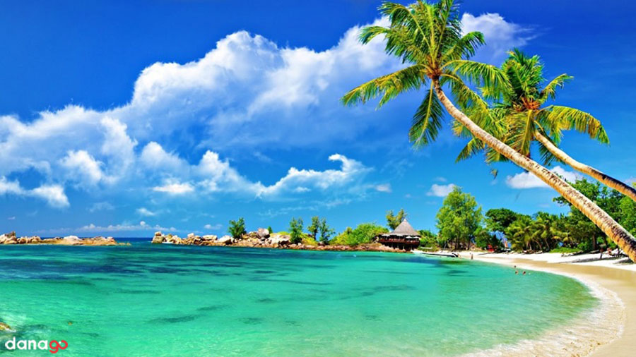 Tour Phú Thọ Đi Đà Nẵng