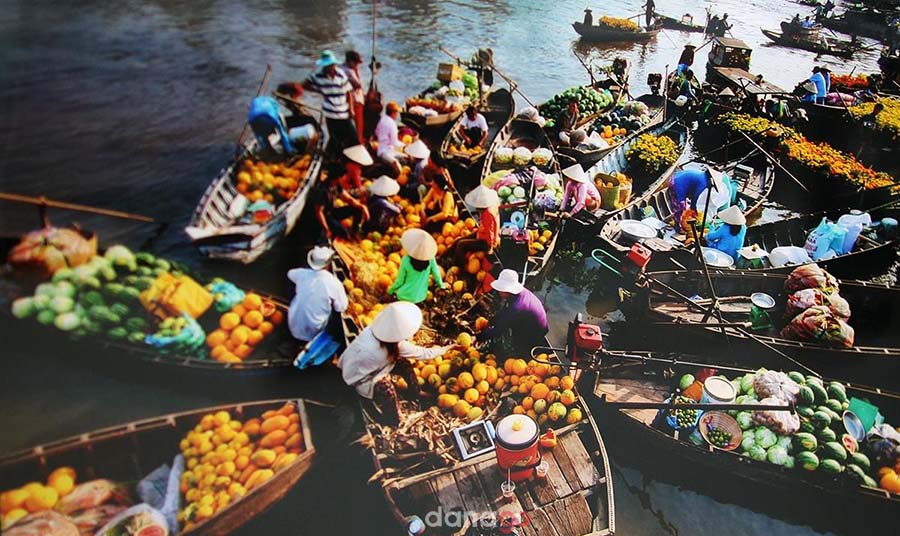 Tour Đà Nẵng Đi Bạc Liêu
