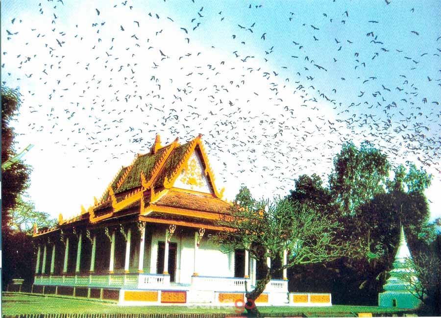 Tour Đà Nẵng Đi Cà Mau Tour Đà Nẵng Đi Cà Mau